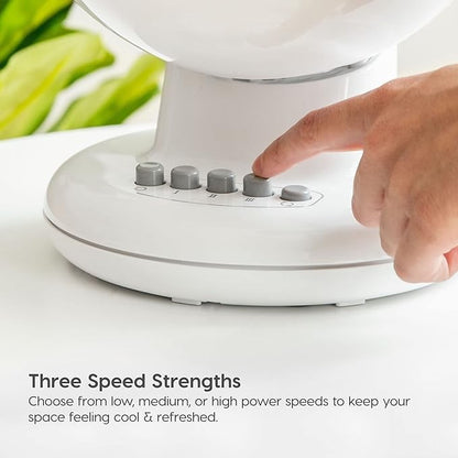 Small swing head circulating fan
